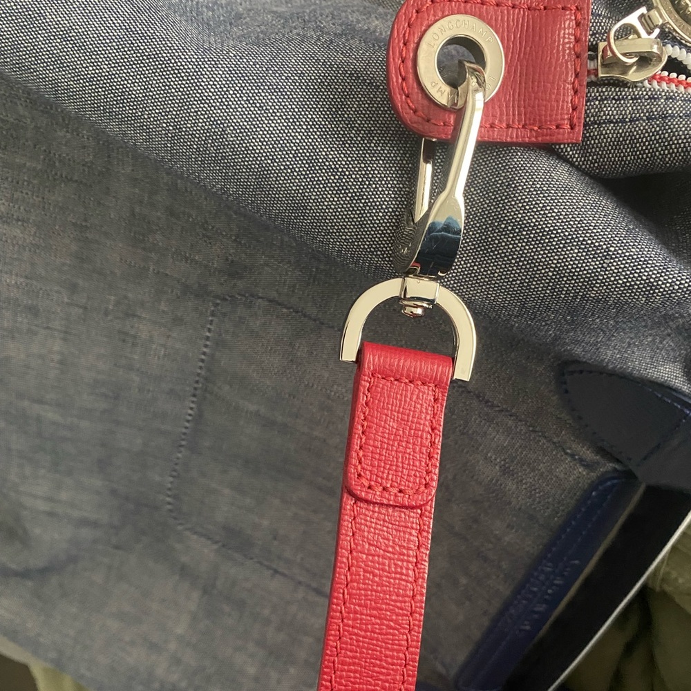 Custom Longchamp Bag - Picture 5 of 5